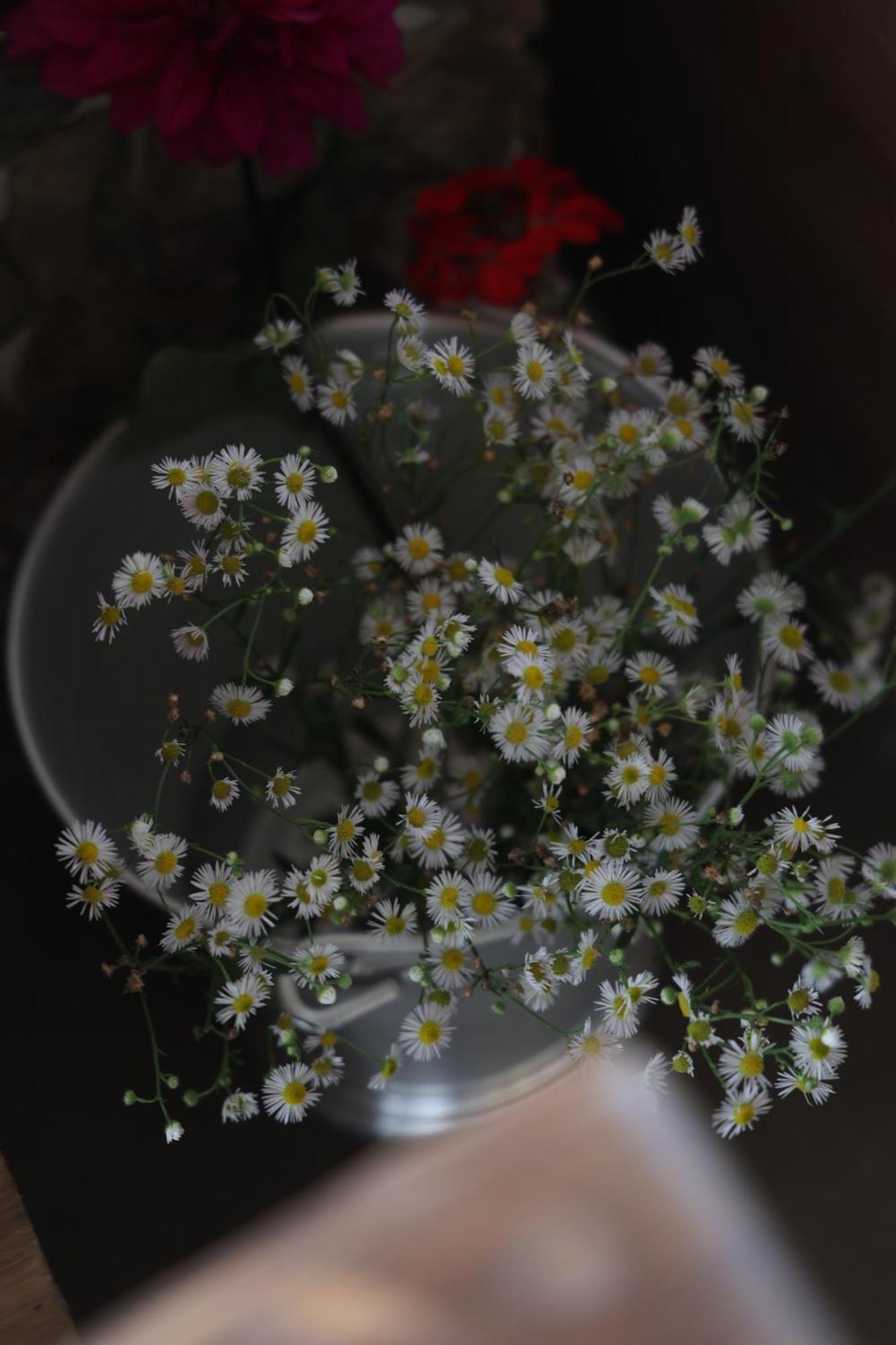 Nazaara -Thhpsociety - Mukteshwar - Witness The View From Your Bed 외부 사진